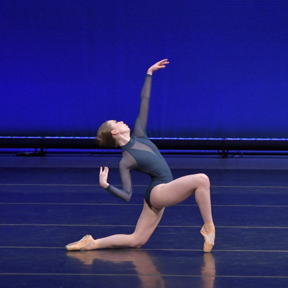 CUSTOM Elevé Dancewear Lynn Leotard - Picture 5 of 5